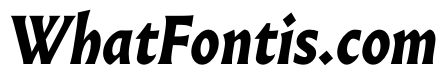 AlmostDisplay RomanBlackItalic