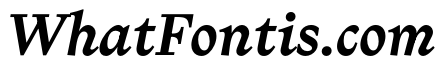 NaNTragedyItalic BoldItalic Instance