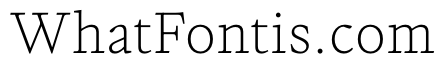 PPWriter ThinText Instance