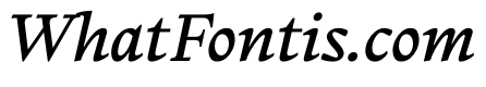 PPWriter MediumItalic