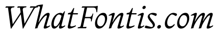 PPWriter LightItalic Instance