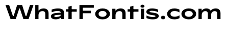 PPWatch Semibold Instance