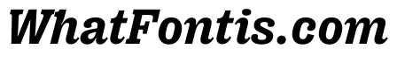 PPRightSlabItalic Bold Instance
