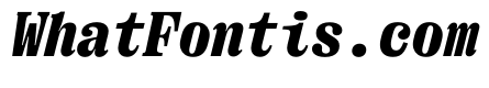 PPRightSerifMonoItalic Black Instance