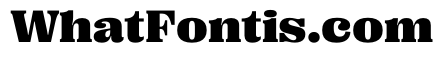 PPRightSerif WideBlack Instance