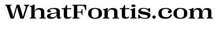 PPRightSerif SpatialMedium Instance