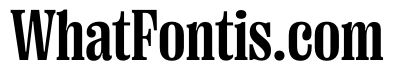 PPRightSerif NarrowBold Instance