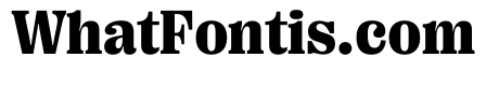 PPRightSerif Dark