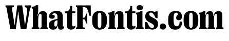PPRightSerif CompactDark Instance