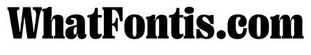PPRightSerif CompactBlack Instance