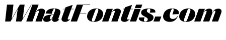 PPRightSansWide BlackItalic Instance