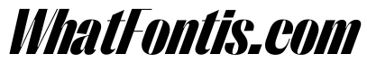 PPRightSansNarrow BlackItalic Instance