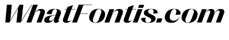 PPRightSans WideBoldItalic Instance