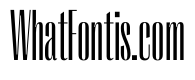 PPRightSans TallLight Instance