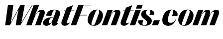 PPRightSans DarkItalic Instance