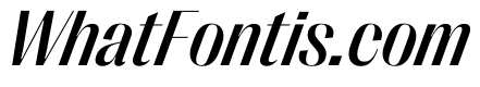 PPRightSans CompactMediumItalic Instance