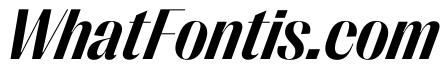 PPRightSans CompactBoldItalic Instance