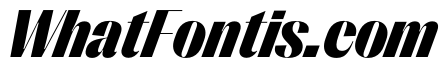 PPRightSans CompactBlackItalic Instance