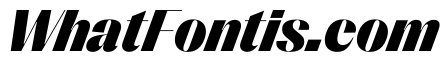 PPRightSans BlackItalic Instance