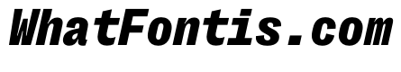 PPRightGroteskMono BlackItalic Instance