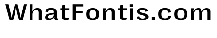 PPRightGroteskTextWide Medium Instance