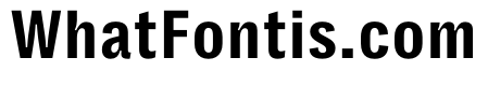 PPRightGroteskTextCompact Bold Instance
