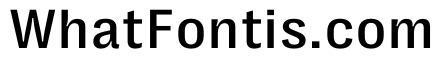 PPRightGroteskTextCasual Medium Instance