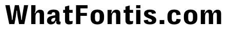 PPRightGroteskTextCasual Bold Instance
