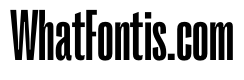 PPRightGroteskTall Bold Instance