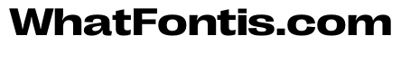 PPRightGroteskSpatial Bold Instance