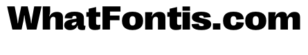 PPRightGrotesk WideDark Instance