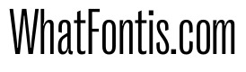 PPRightGrotesk TightLight Instance