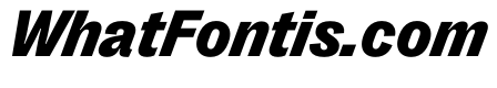 PPRightGrotesk DarkItalic Instance
