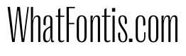 PPRightGothicTight Fine Instance
