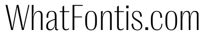 PPRightGothicCompact Fine Instance