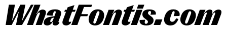 PPRightGothic BlackItalic Instance