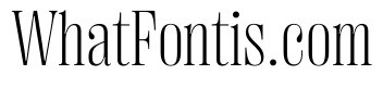 PPRightDidoneNarrow Fine Instance