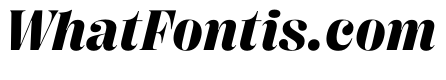 PPRightDidoneItalic Dark Instance