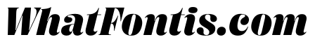 PPRightDidoneItalic Black Instance