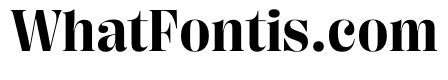 PPRightDidoneCasual Bold Instance