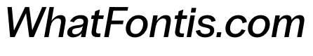 PPRadioGrotesk MediumItalic Instance