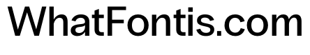 PPRadioGrotesk Medium