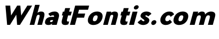 PPPierSans BlackItalic 1e828d83