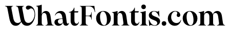 PPPangaia Semibold Instance