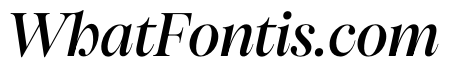 PPPangaia MediumItalic Instance