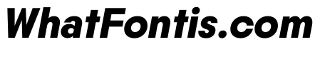 PPNikkeiMaru SemiboldItalic Instance
