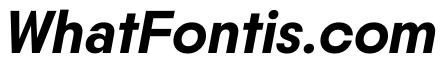 PPNikkeiMaru MediumItalic Instance