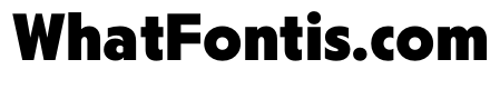PPNikkeiJournal Bold Instance