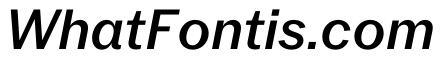 PPNeueYorkItalic NormalMediumItalic Instance