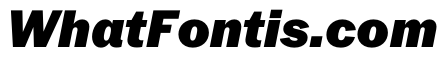 PPNeueYorkItalic NormalBlackItalic Instance
